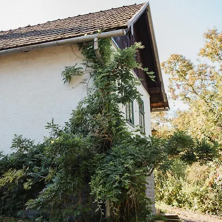 Wine Cellar Turned Idyllic Escape Feriehus *